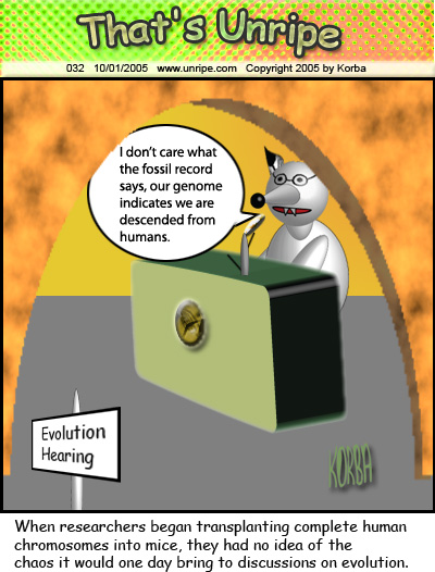 cartoon 32, evolution of mice